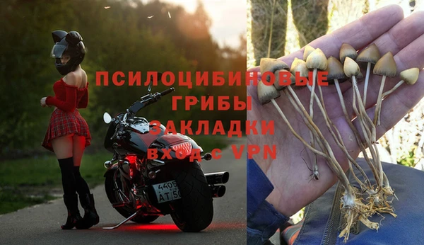хмурый Арсеньев