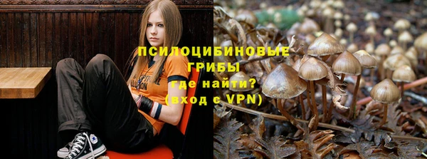 трава Алзамай