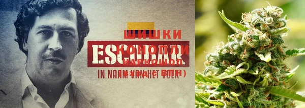 spice Армянск