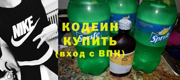 хмурый Арсеньев